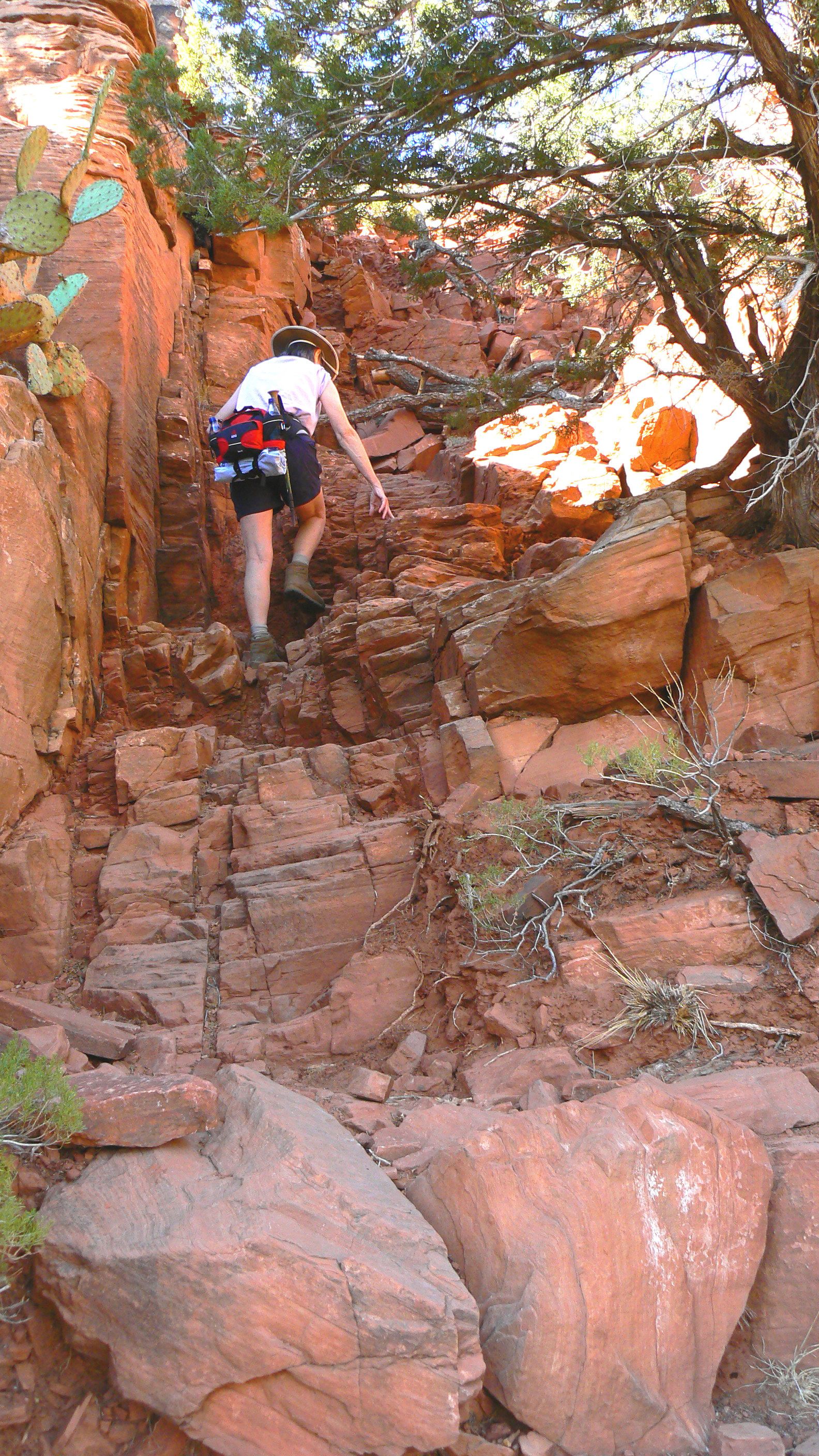 Bear mountain shop trail